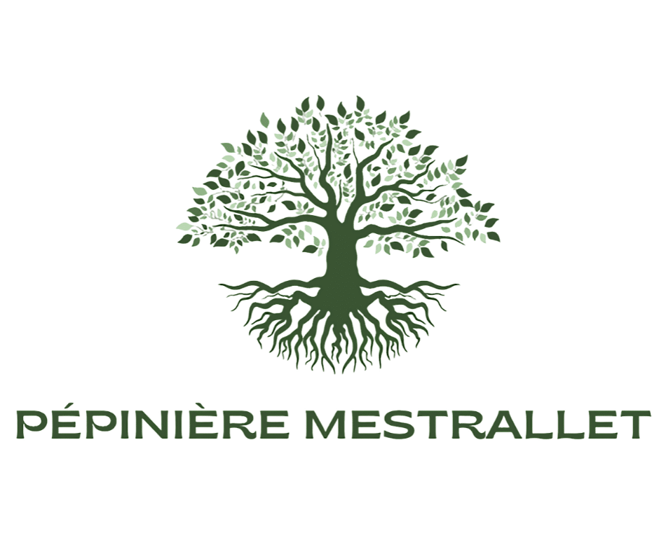 Design sans titre (17)